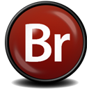 Adobe Bridge CS3 icon